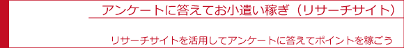 アンケートに答えてお小遣い稼ぎ（リサーチパネル）